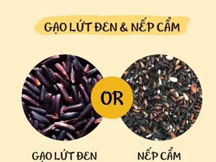 Gạo lứt có phải nếp cẩm không?